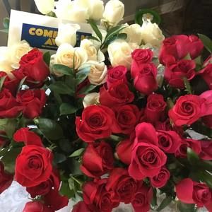 Meet your Posher, Ingrid